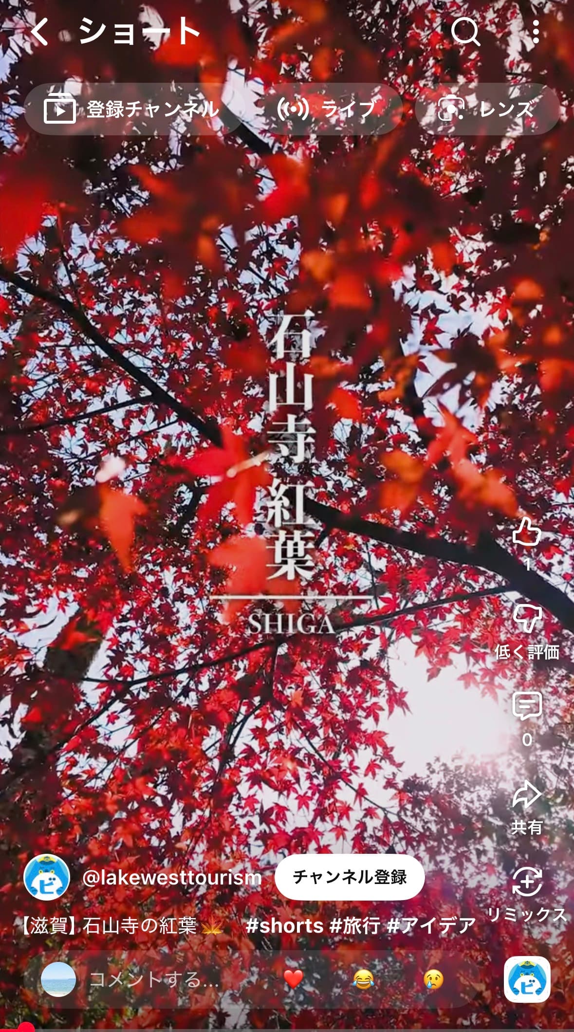 Experience the Heartwarming Autumn Foliage at Ishiyama-dera!